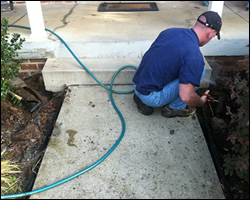 Dead animal removal Winchester VA